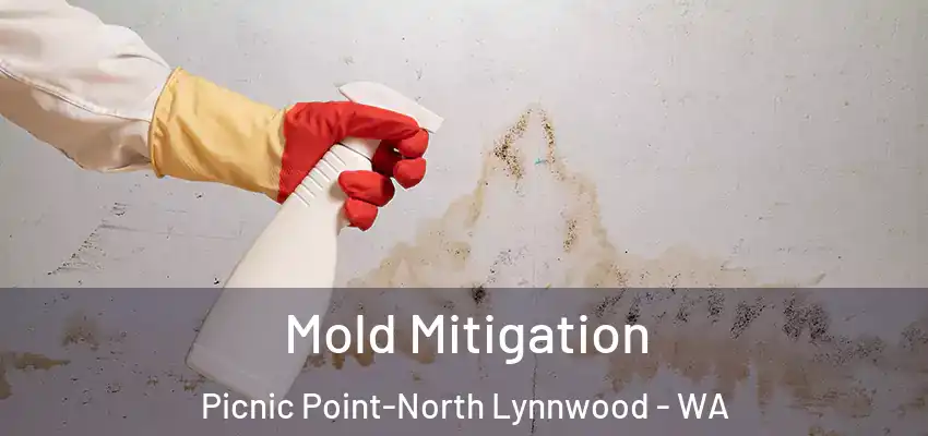  Mold Mitigation Picnic Point-North Lynnwood - WA