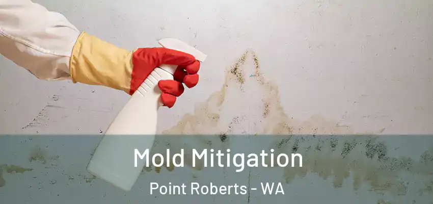  Mold Mitigation Point Roberts - WA