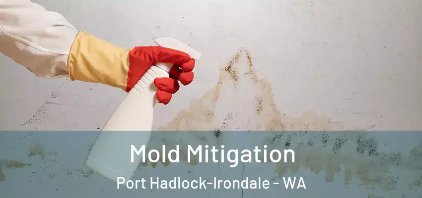  Mold Mitigation Port Hadlock-Irondale - WA