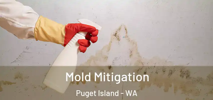  Mold Mitigation Puget Island - WA