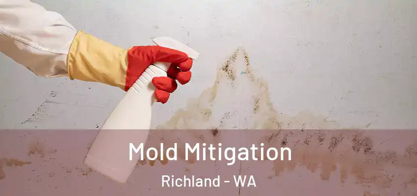  Mold Mitigation Richland - WA