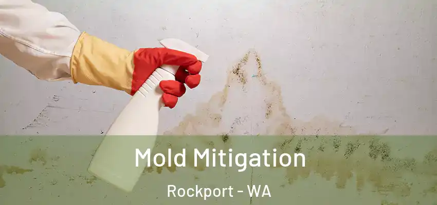 Mold Mitigation Rockport - WA