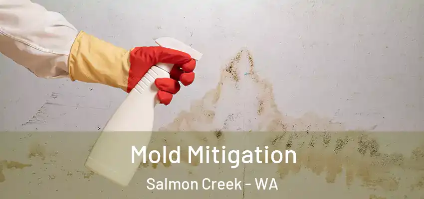  Mold Mitigation Salmon Creek - WA