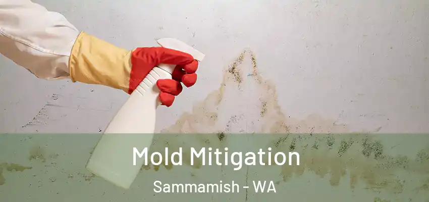  Mold Mitigation Sammamish - WA