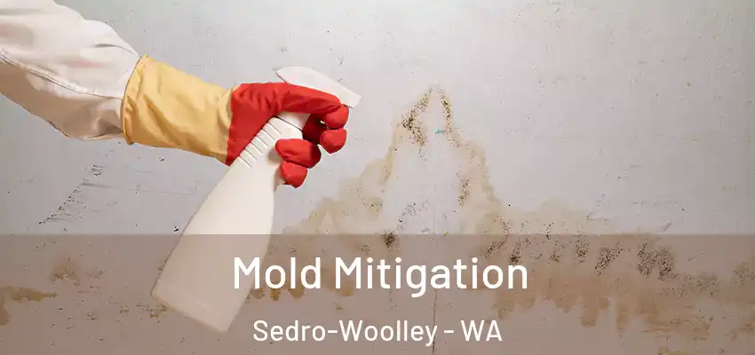  Mold Mitigation Sedro-Woolley - WA