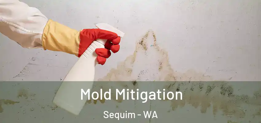Mold Mitigation Sequim - WA