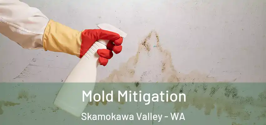  Mold Mitigation Skamokawa Valley - WA