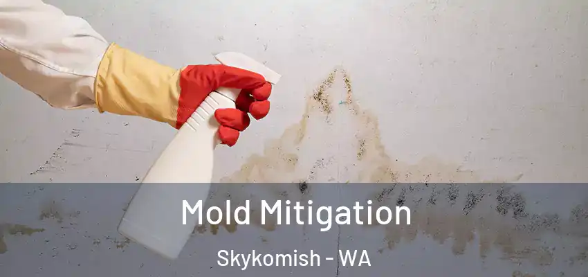  Mold Mitigation Skykomish - WA