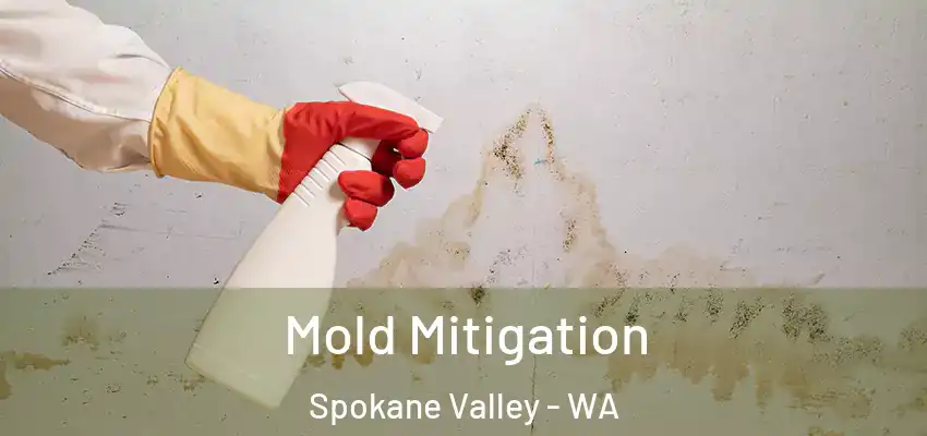  Mold Mitigation Spokane Valley - WA