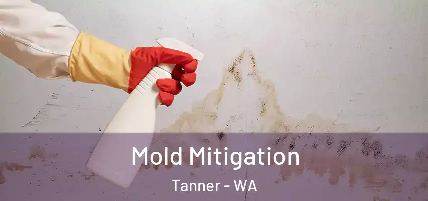  Mold Mitigation Tanner - WA