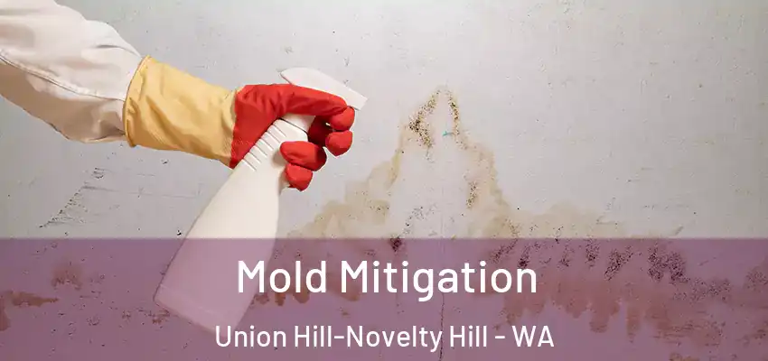  Mold Mitigation Union Hill-Novelty Hill - WA