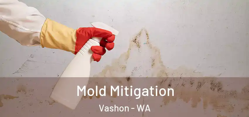  Mold Mitigation Vashon - WA