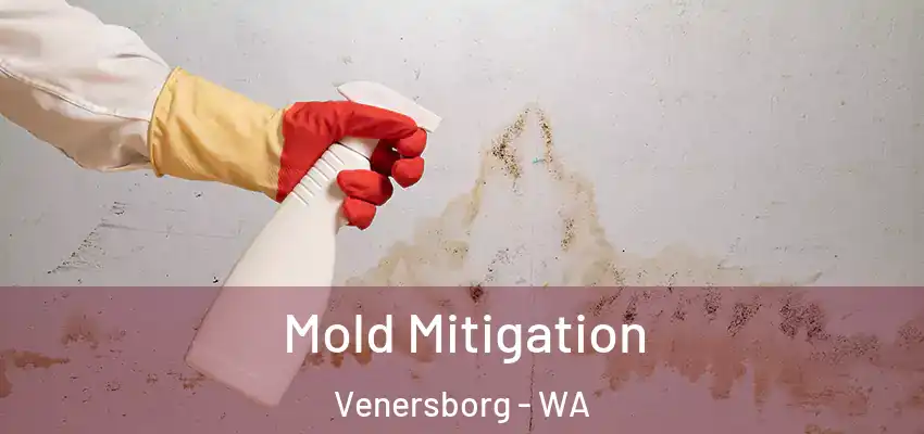  Mold Mitigation Venersborg - WA