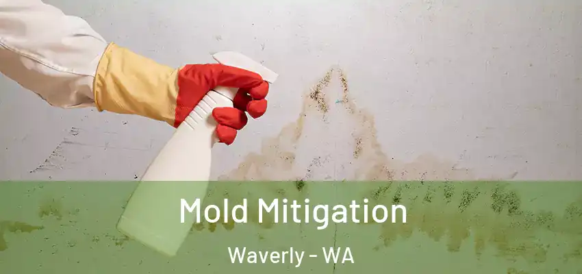  Mold Mitigation Waverly - WA