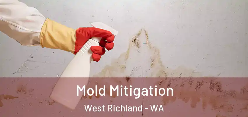  Mold Mitigation West Richland - WA