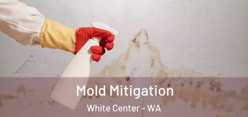  Mold Mitigation White Center - WA