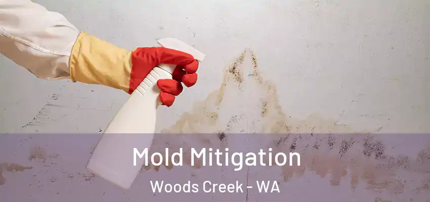  Mold Mitigation Woods Creek - WA