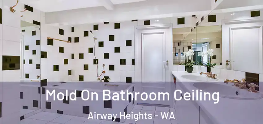 Mold On Bathroom Ceiling Airway Heights - WA