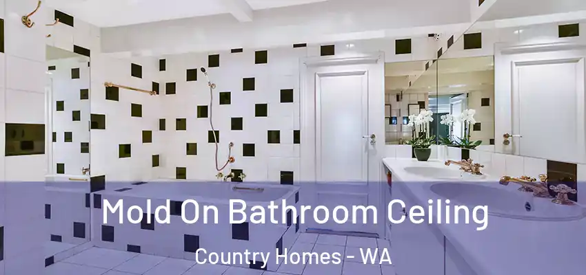  Mold On Bathroom Ceiling Country Homes - WA