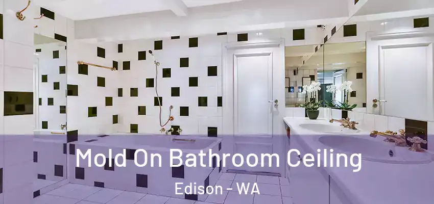  Mold On Bathroom Ceiling Edison - WA