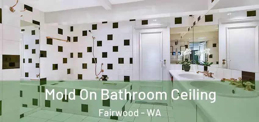  Mold On Bathroom Ceiling Fairwood - WA