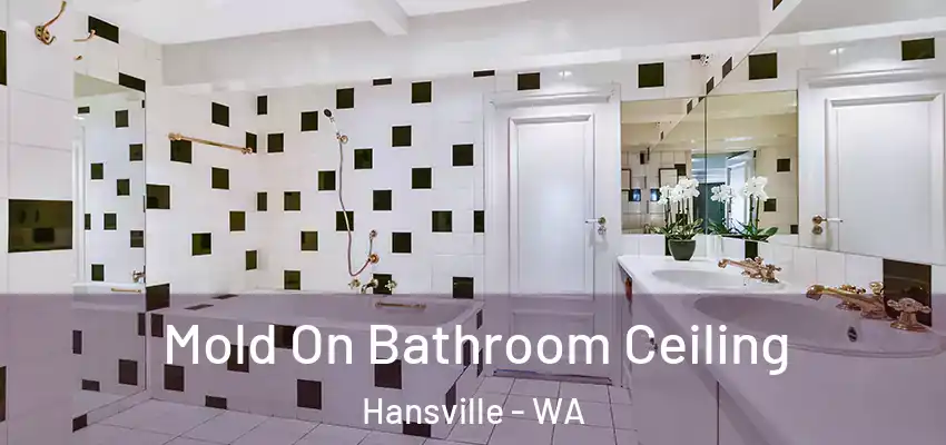  Mold On Bathroom Ceiling Hansville - WA