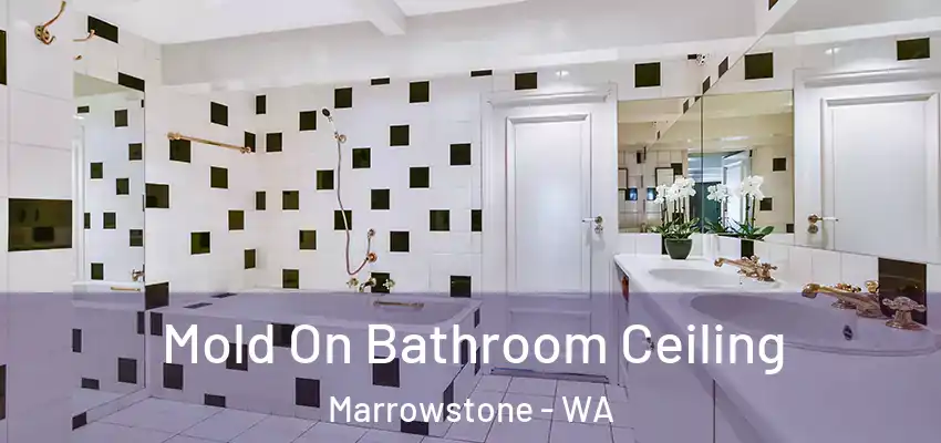  Mold On Bathroom Ceiling Marrowstone - WA