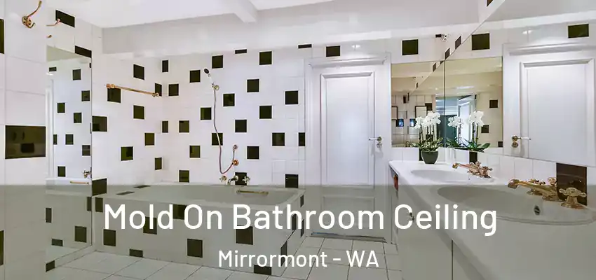  Mold On Bathroom Ceiling Mirrormont - WA