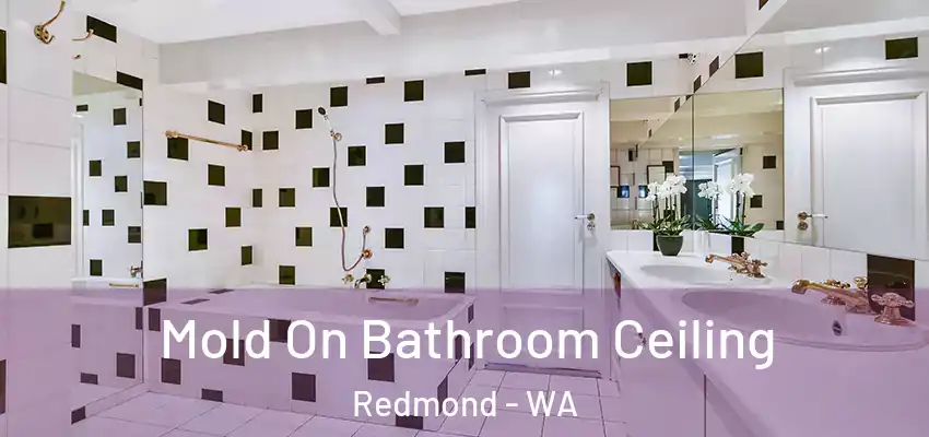  Mold On Bathroom Ceiling Redmond - WA