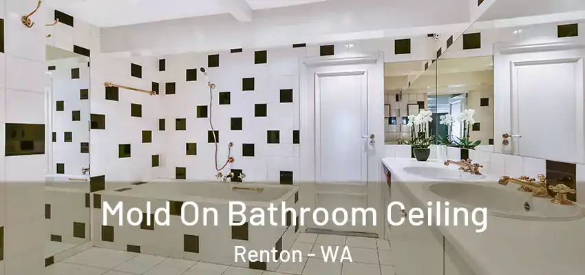  Mold On Bathroom Ceiling Renton - WA
