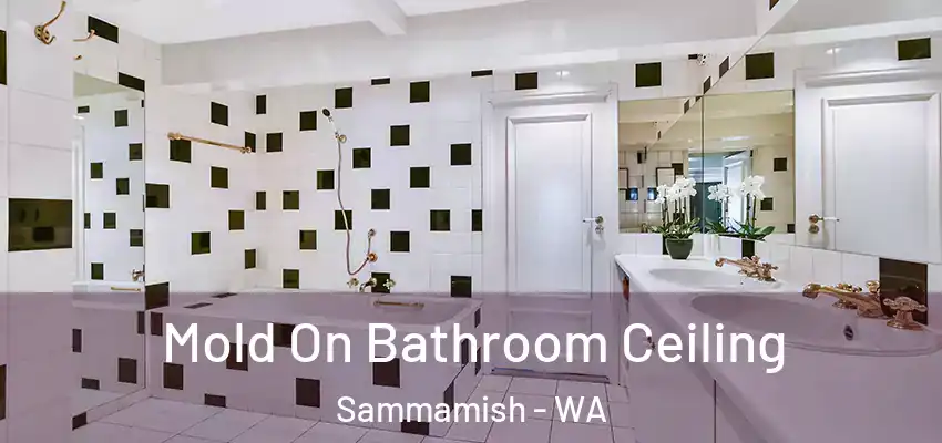  Mold On Bathroom Ceiling Sammamish - WA