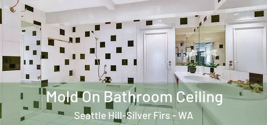  Mold On Bathroom Ceiling Seattle Hill-Silver Firs - WA