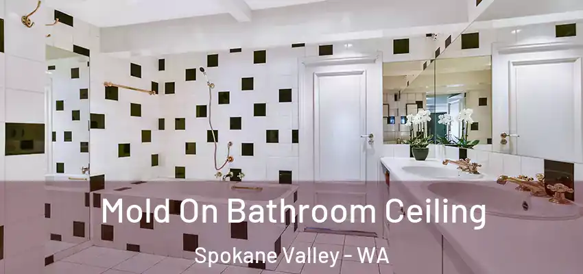  Mold On Bathroom Ceiling Spokane Valley - WA