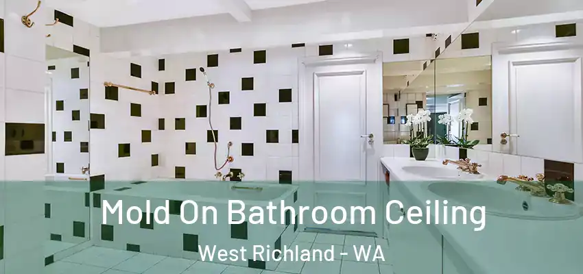  Mold On Bathroom Ceiling West Richland - WA