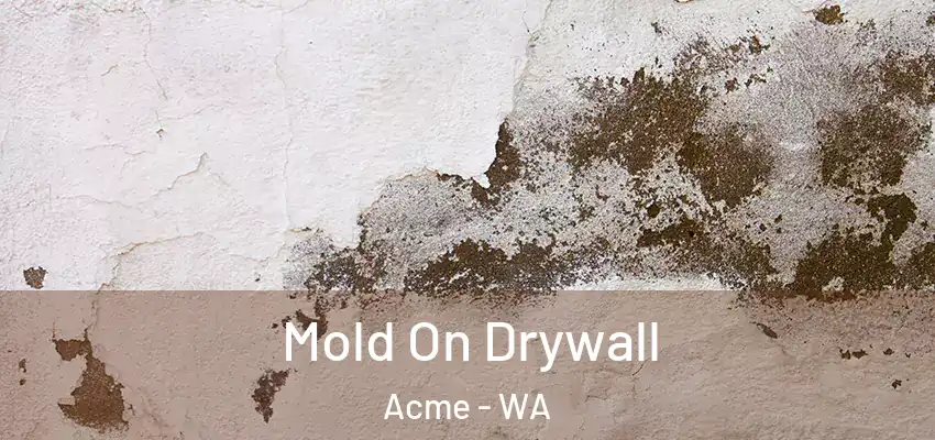  Mold On Drywall Acme - WA