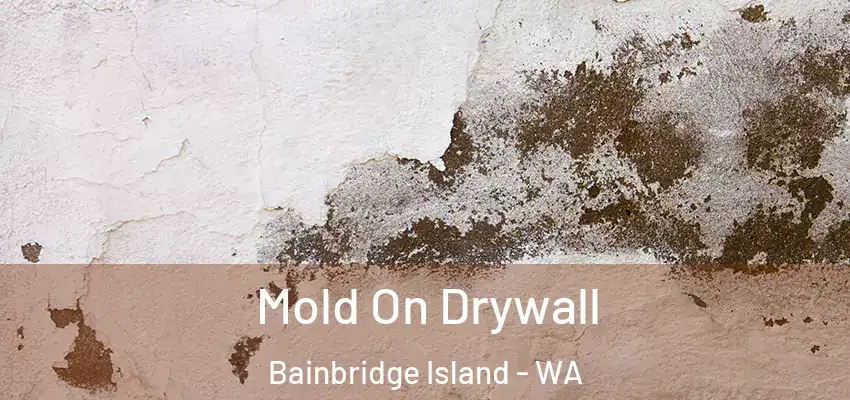 Mold On Drywall Bainbridge Island - WA