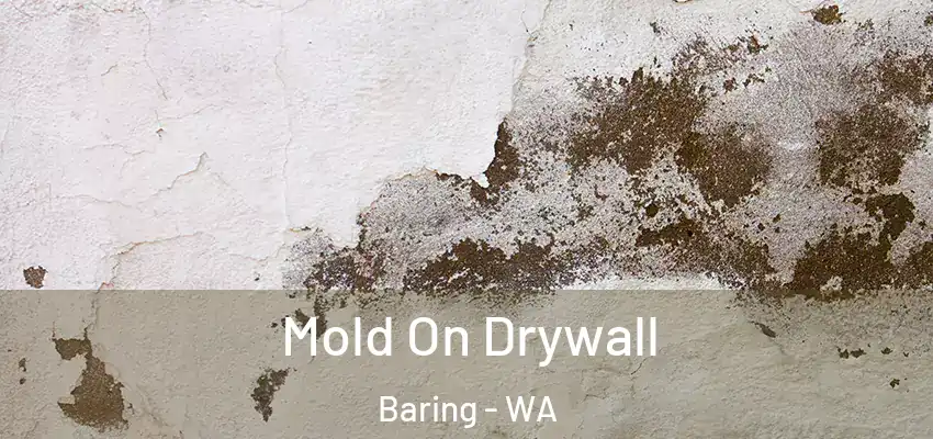  Mold On Drywall Baring - WA