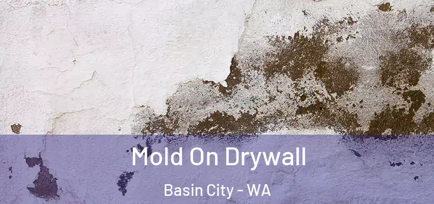  Mold On Drywall Basin City - WA
