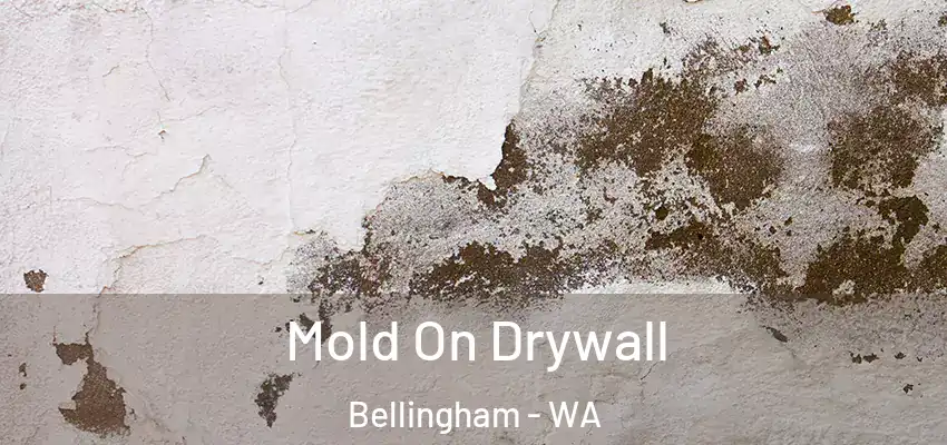  Mold On Drywall Bellingham - WA