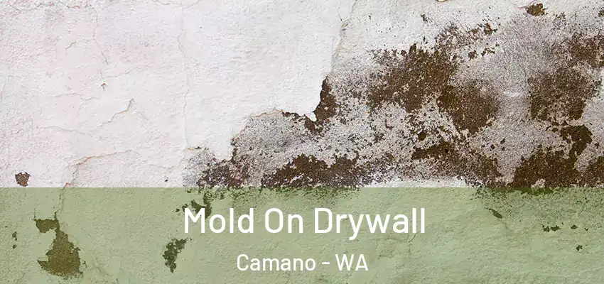  Mold On Drywall Camano - WA