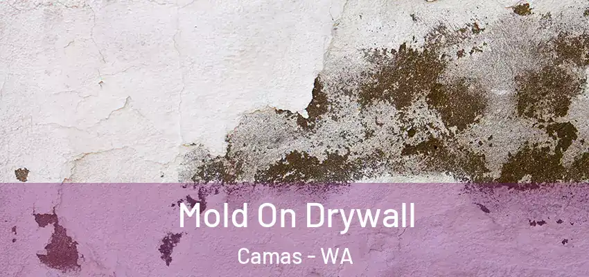  Mold On Drywall Camas - WA
