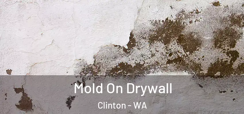  Mold On Drywall Clinton - WA