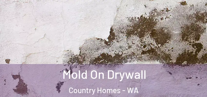  Mold On Drywall Country Homes - WA