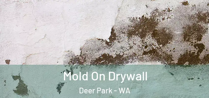  Mold On Drywall Deer Park - WA