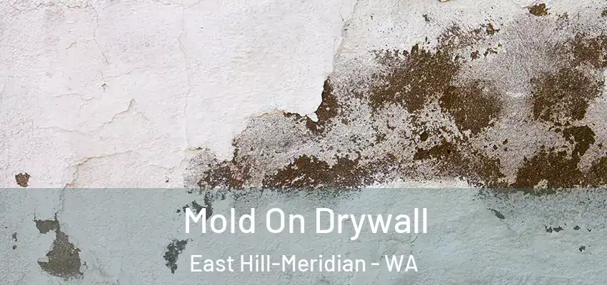  Mold On Drywall East Hill-Meridian - WA