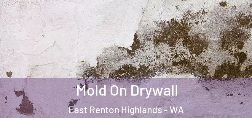  Mold On Drywall East Renton Highlands - WA