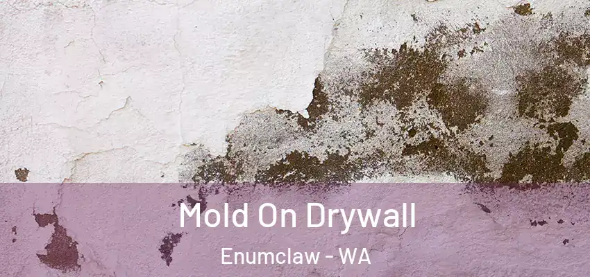 Mold On Drywall Enumclaw - WA