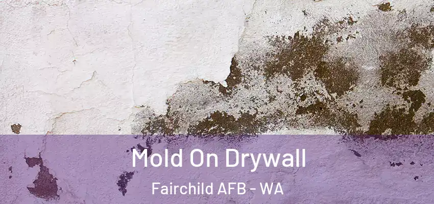  Mold On Drywall Fairchild AFB - WA