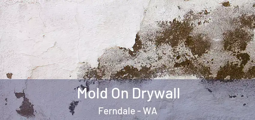  Mold On Drywall Ferndale - WA
