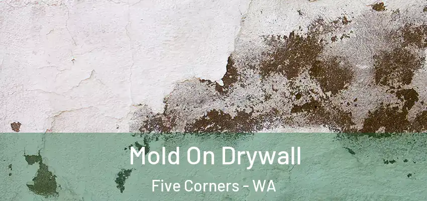  Mold On Drywall Five Corners - WA